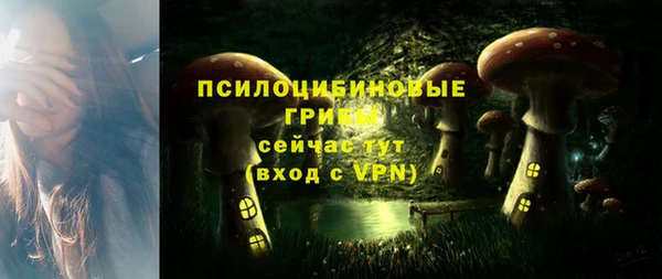 кокаин Богородицк